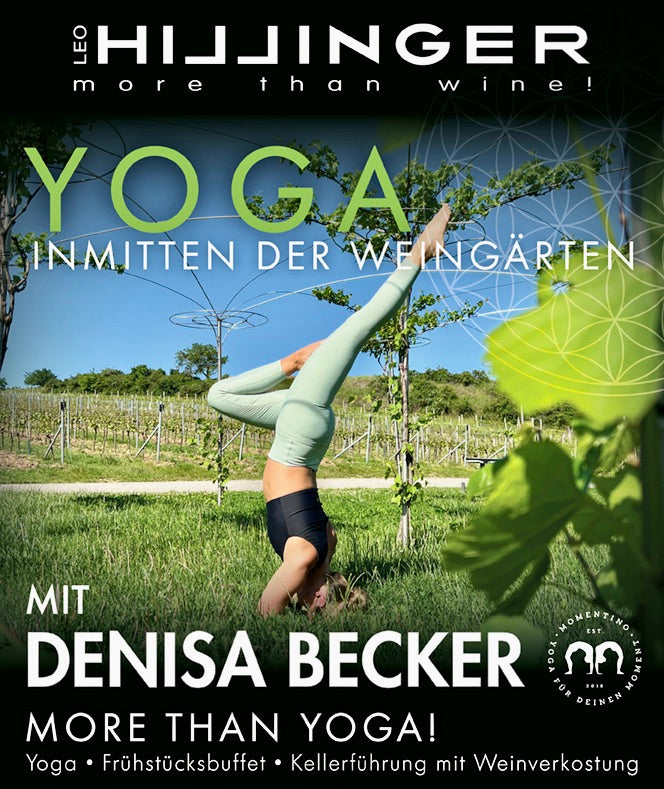 WEINGUT LEO HILLINGER & MOMENTINO