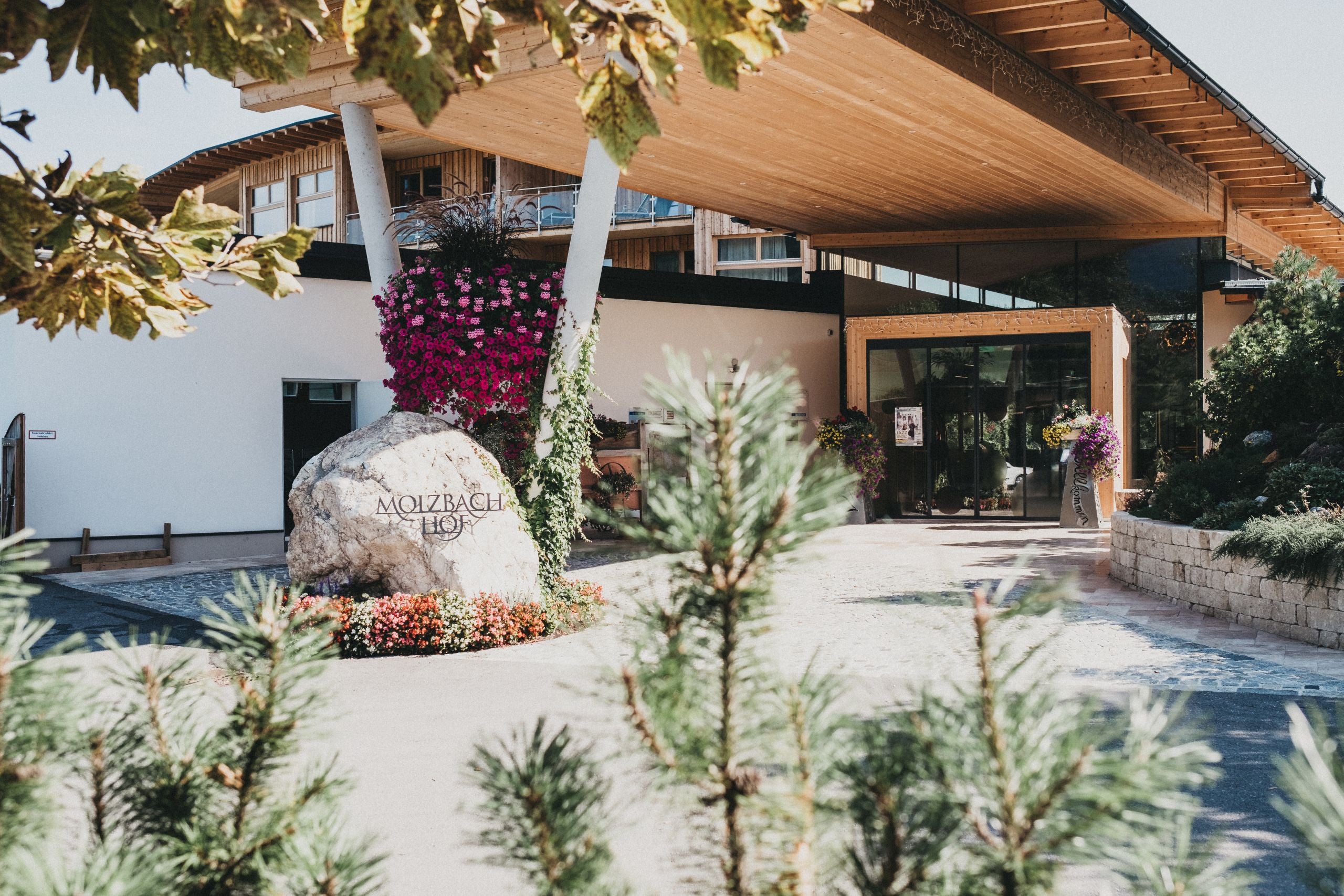 Offline Yoga Retreat | Nov 2027 | Molzbachhof